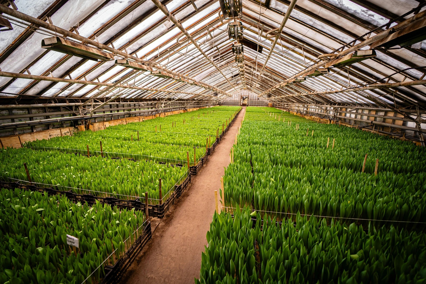 Global agricultural partnership